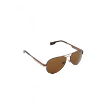 Louis Philippe Men Brown Sunglasses