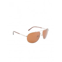 Louis Philippe Men Brown Sunglasses