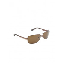 Louis Philippe Men Brown Sunglasses LP207-C1