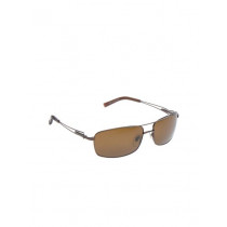 Louis Philippe Men Sunglasses LP209-C3
