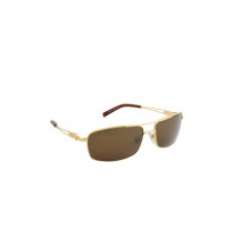 Louis Philippe Men Gold Sunglasses