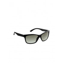 Miami Blues Unisex Sunglasses