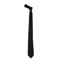 Park Avenue Men Black Tie