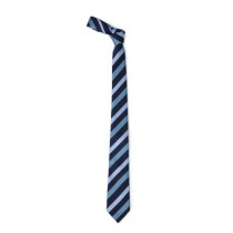 Park Avenue Men Blue Tie
