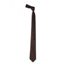 Park Avenue Men Brown Tie