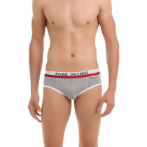 Park Avenue Men Grey Swank Briefs