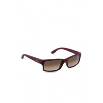 Ray-Ban Unisex Active Lifestyle Sunglasses