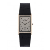 Titan Men Grey Watch