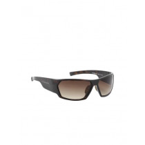 United Colors of Benetton Men Brown Sunglasses