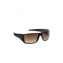 United Colors of Benetton Men Brown Sunglasses