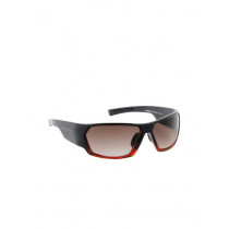 United Colors of Benetton Men Black Sunglasses