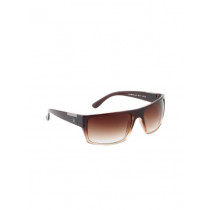 United Colors of Benetton Men Sunglass