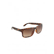 Van Heusen Unisex Brown Sunglasses
