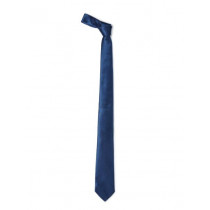 Park Avenue Men Blue Tie