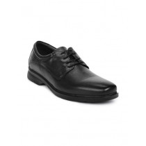 Franco Leone Men Black Formal Shoes