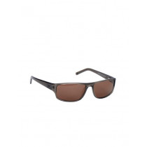 Cat Men Sheet Sunglasses