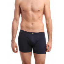 Hanes Men Navy Blue Boxer Brief