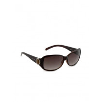 Allen Solly Women Sunglasses AS150-C2