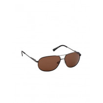 Polaroid Men Sunglasses