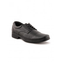 Franco Leone Men Formal Black Formal Shoes
