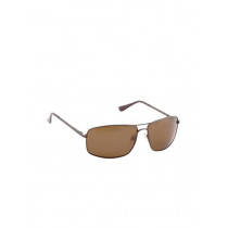 Polaroid Men Sunglasses