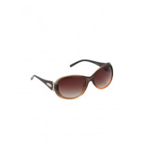 Miami Blues Women Brown Sunglasses
