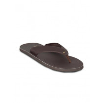 Nike Me Chroma Brown Flip Flop