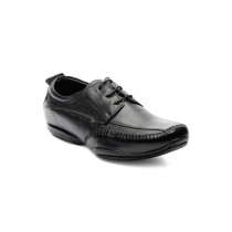 Franco Leone Men Black Formal Shoes