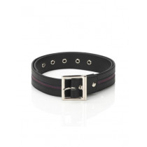 Baggit Women Rocker Taj Black Belt