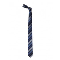 Reid & Taylor Men Blue Tie