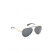 Pal Zileri Men Casual Gold Frame Sunglasses
