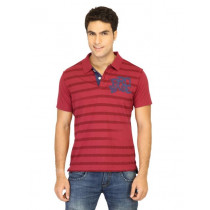 Probase Men Stripes Maroon Polo T-shirts
