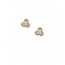 Lucera Women Gold Earrings