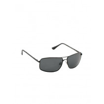 Polaroid Men Sunglasses
