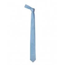 Reid & Taylor Men Blue Tie