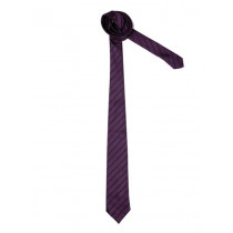 Peter England Men Elite Purple Tie
