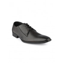 Franco Leone Men Brown Formal Shoe