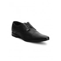 Franco Leone Men Black Formal Shoes