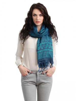 Fabindia Women Blue Stole