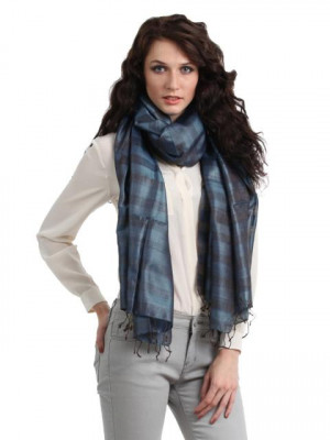 Fabindia Women Blue Stole