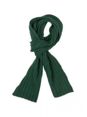 United Colors of Benetton Men Solid Green Mufflers