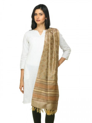 Fabindia Women Brown Silk Dupatta