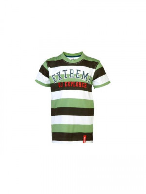 Gini and Jony Kids Boys Stripes Green Tshirts