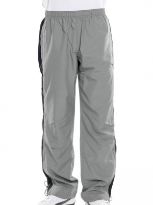 Puma Men's Grey Track Pants
