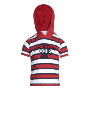 Allen Solly Kids Boys Flock Print Red T-shirt