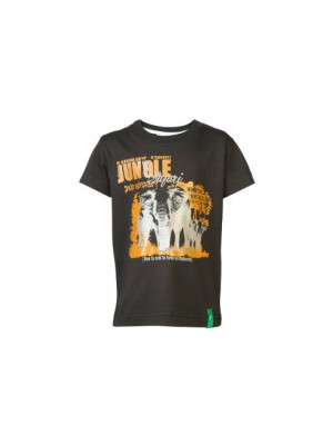 Palm Tree Kids Boys Printed Brown Tshirts