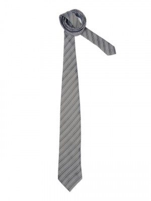 Peter England Men Elite Grey Tie