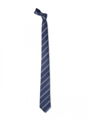 Park Avenue Men Blue Tie