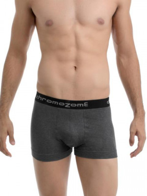 Chromozome Men Grey Trunks