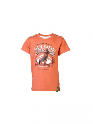 Palm Tree Kids Boys Printed Orange Tshirts